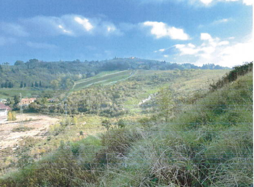 U2210/25 - Terreni a Castelfiorentino (FI) 