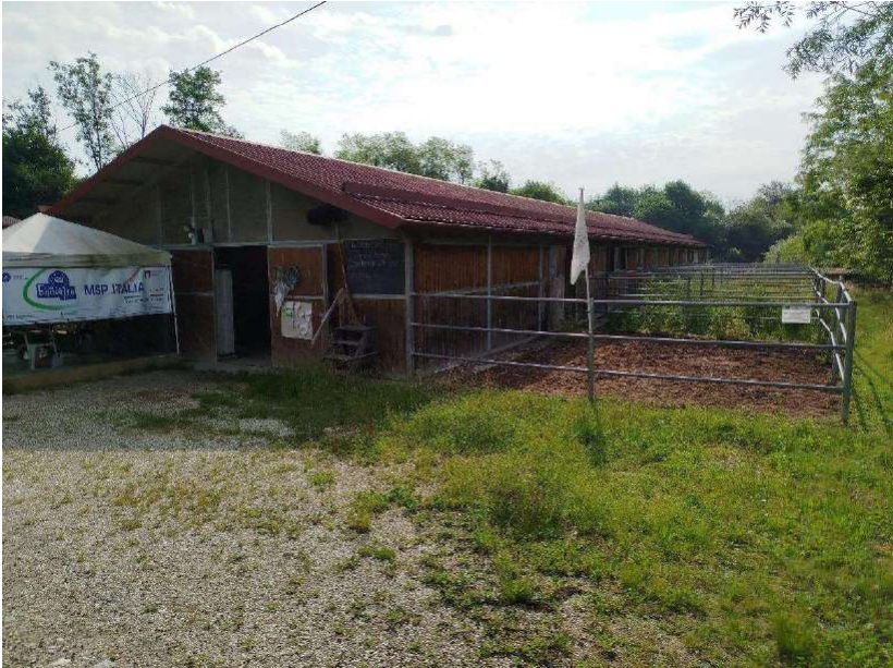 E3788/25 - Scuderia a Santa Giustina (BL) 