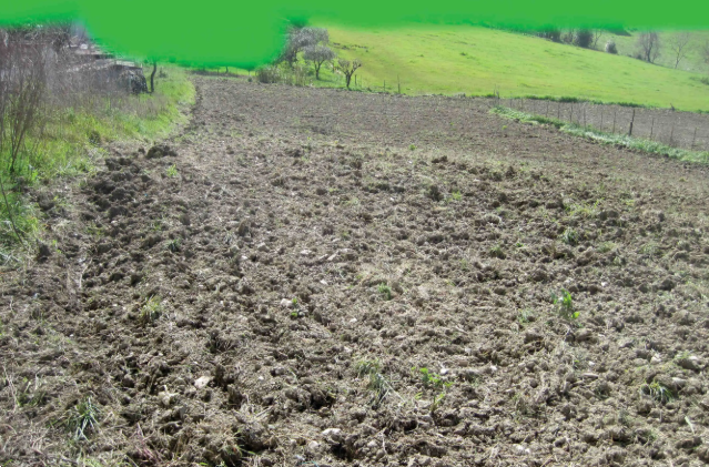 F35/25 - TERRENO EDIFICABILE A MONDAVIO(PU)