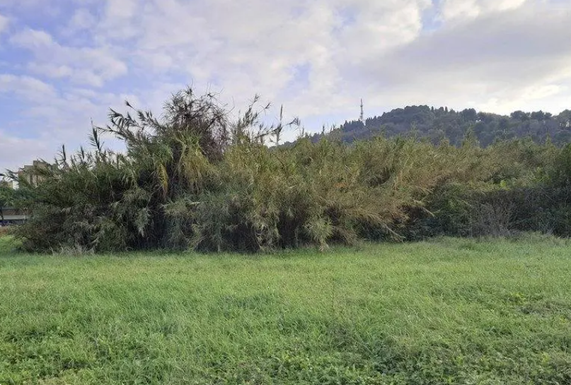 K1113/25 - Terreni a Pesaro (PU)