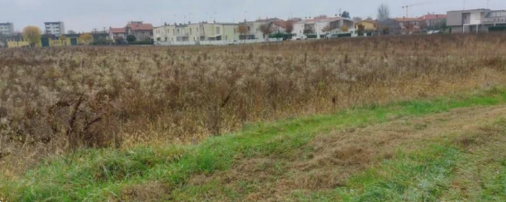 F51/25 - TERRENI A SAN DONA' DI PIAVE(VE)