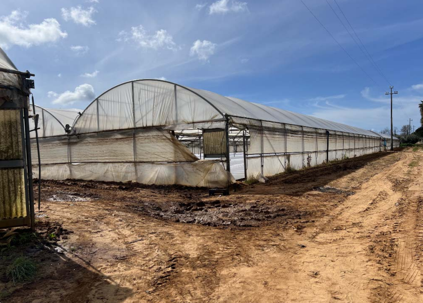 E234/26 - Terreno a Anzio (RM) 