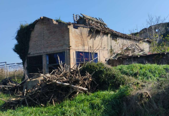 A219/26 - Complesso agrario a San Prospero (MO) 