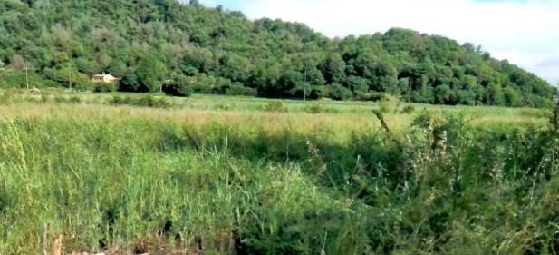 A431/26 - Terreno a Teolo (PD)