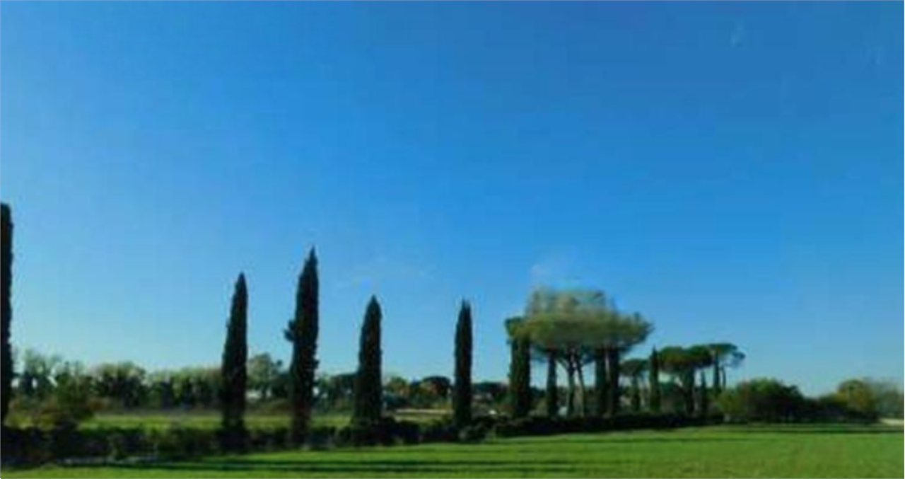 A1261/26 - Terreno agricolo a Roma (RM) 