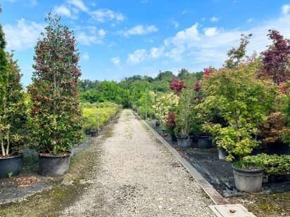 X1348/26 - Terreni agricoli a Robecchetto con Induno (MI)