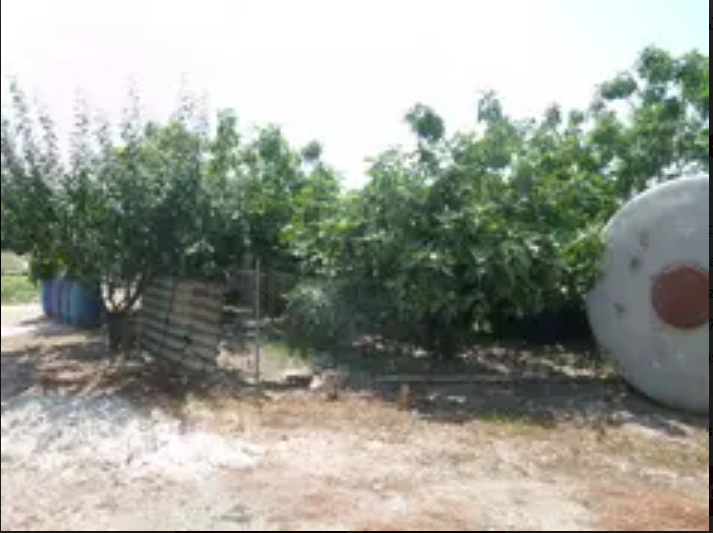 LOZ428/26 - Terreno agricolo a Fucecchio (FI)