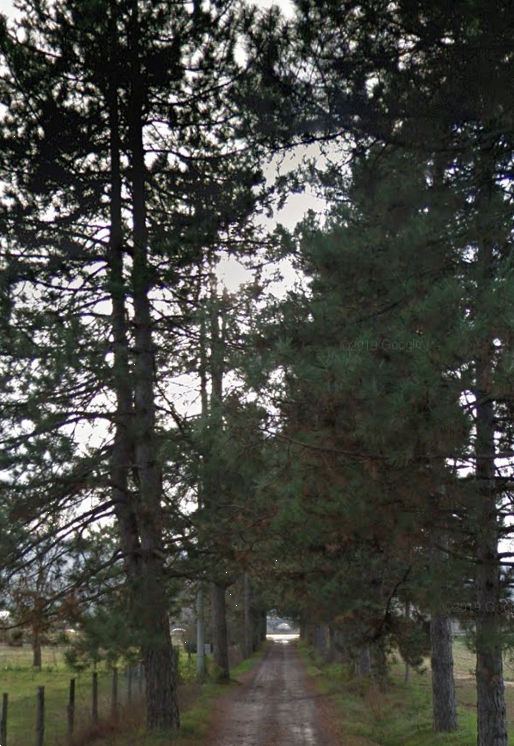 ERZ89/26 - Terreni a Scarperia e San Piero (FI)