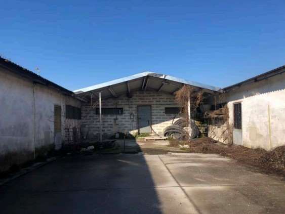 E1414/26 - Capannone a Ghedi  (BS) 