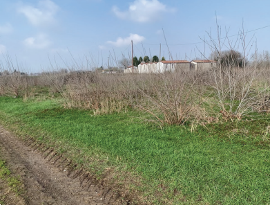E2385/26 - Terreni a Sorgà (VR) 