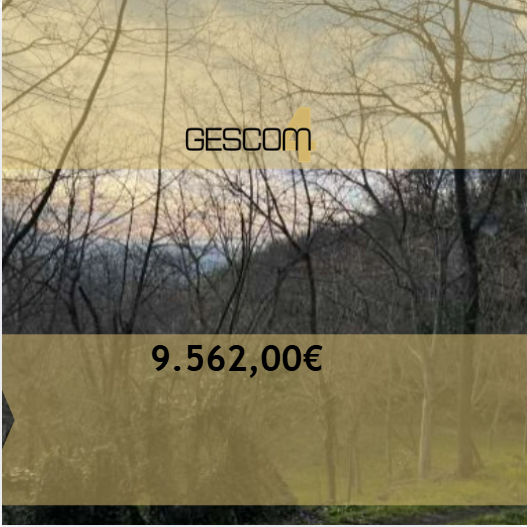 E2571/26 - Terreni a Monzuno (BO) 