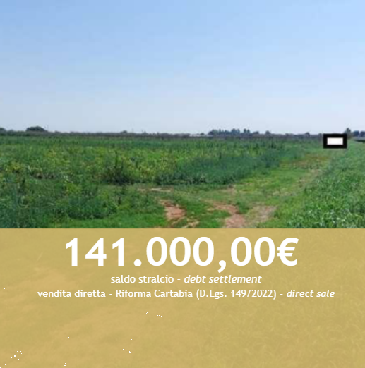 E3132/26 - Terreno a Mozzecane (VR)