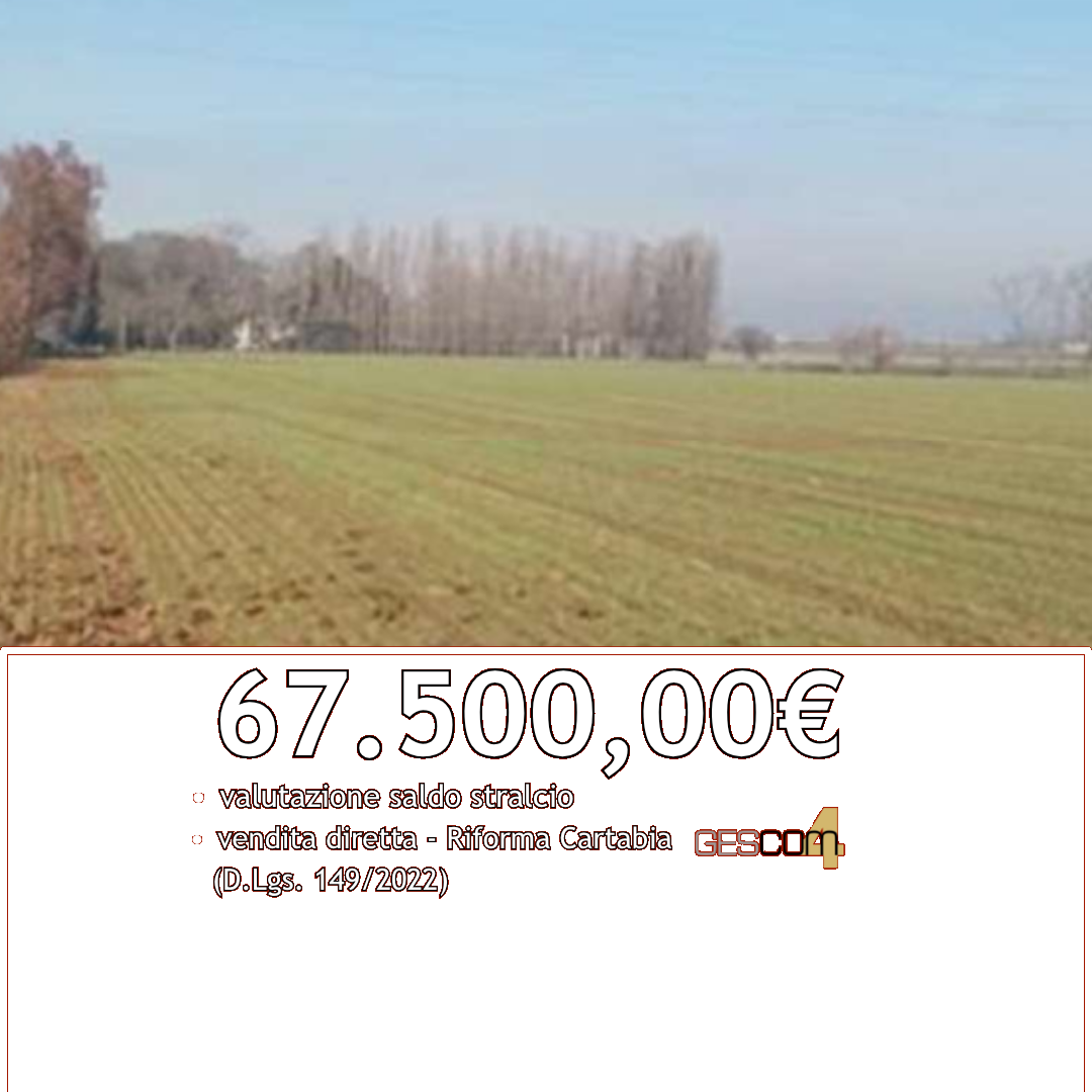 GI283/26 - Terreno agricolo a Nogara (VR)