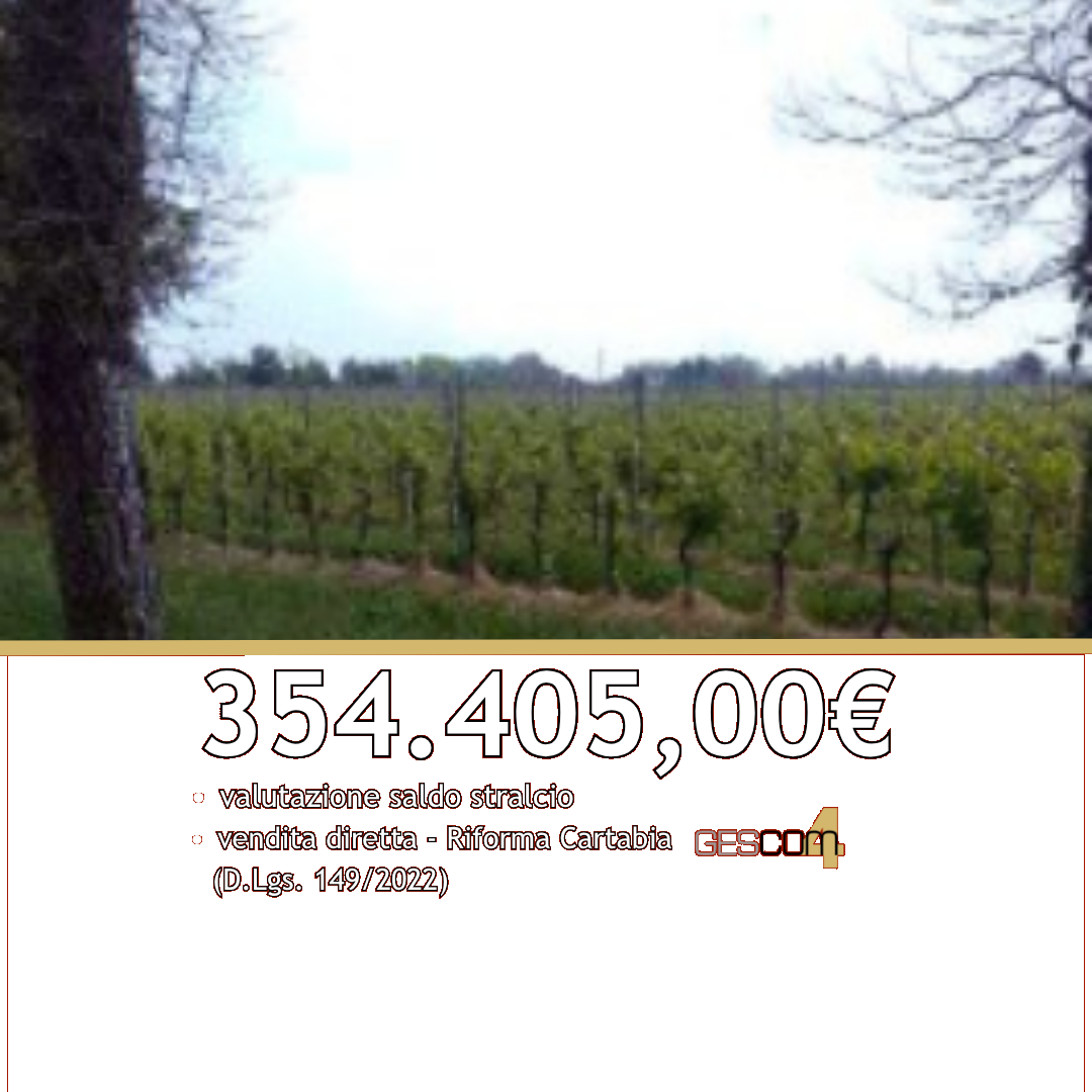 E3243/26 - Terreno a Caneva (PN)