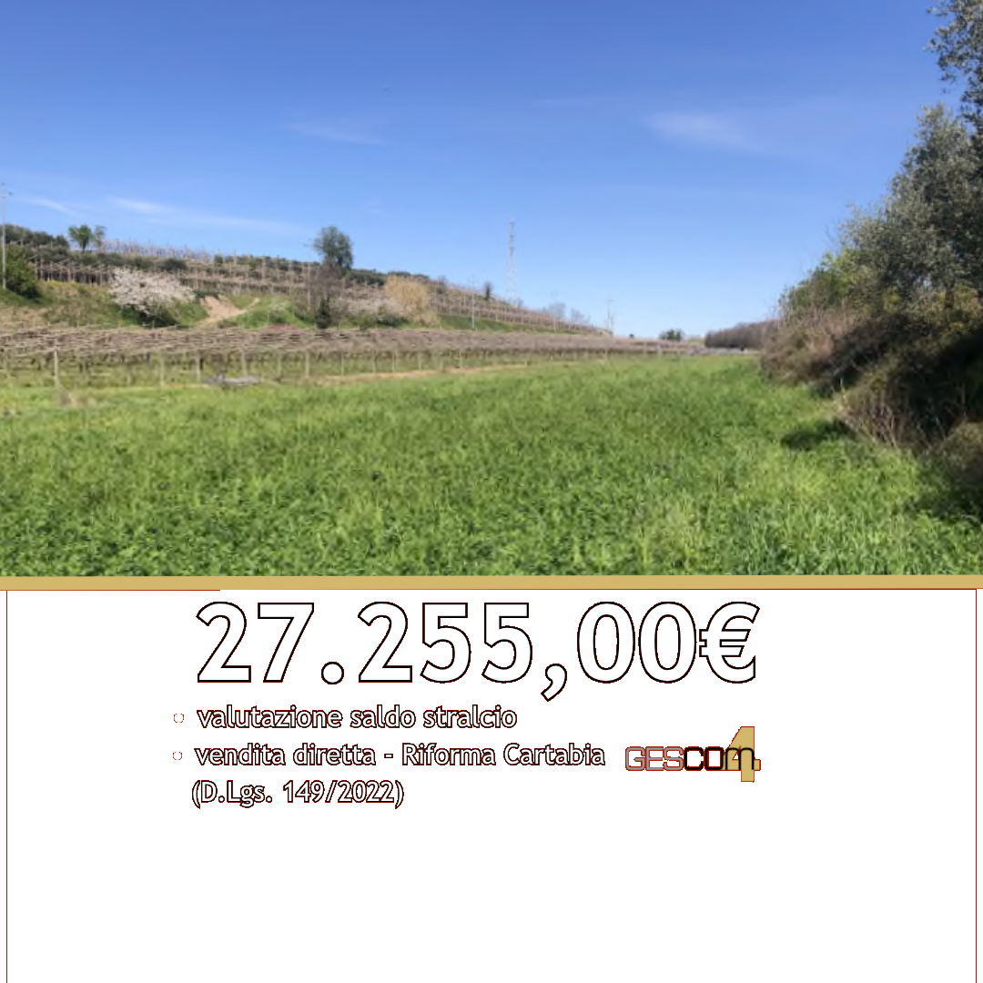 BDC92/26 - Terreno agricolo a Sona (VR)
