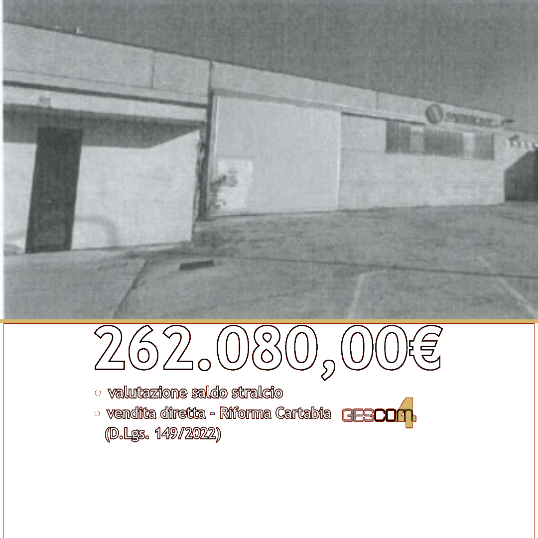 E3408/26 - Capannone a Villa Bartolomea (VR) 