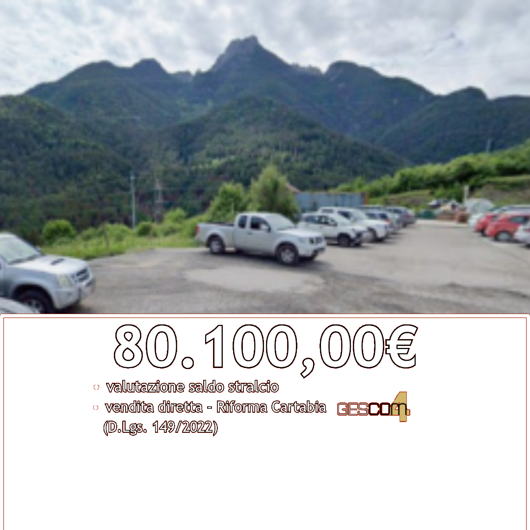 GI404/26 - Terreno a Domegge di Cadore (BL)