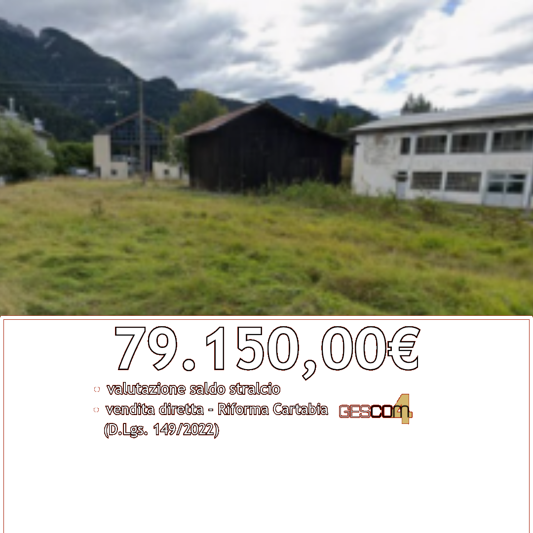 GI405/26 - Terreno a Domegge di Cadore (BL)