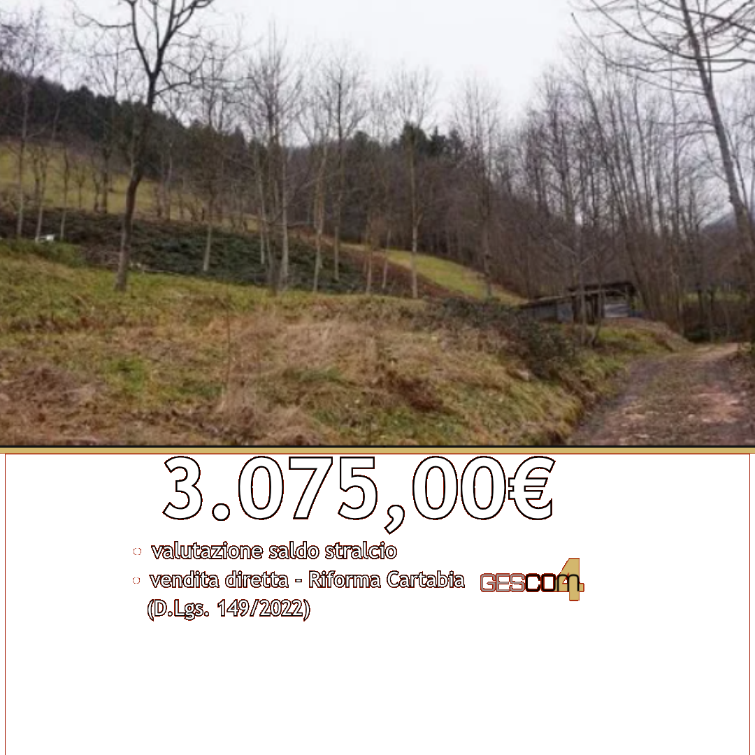 E3457/26 - Terreno a Valli del Pasubio (VI) 