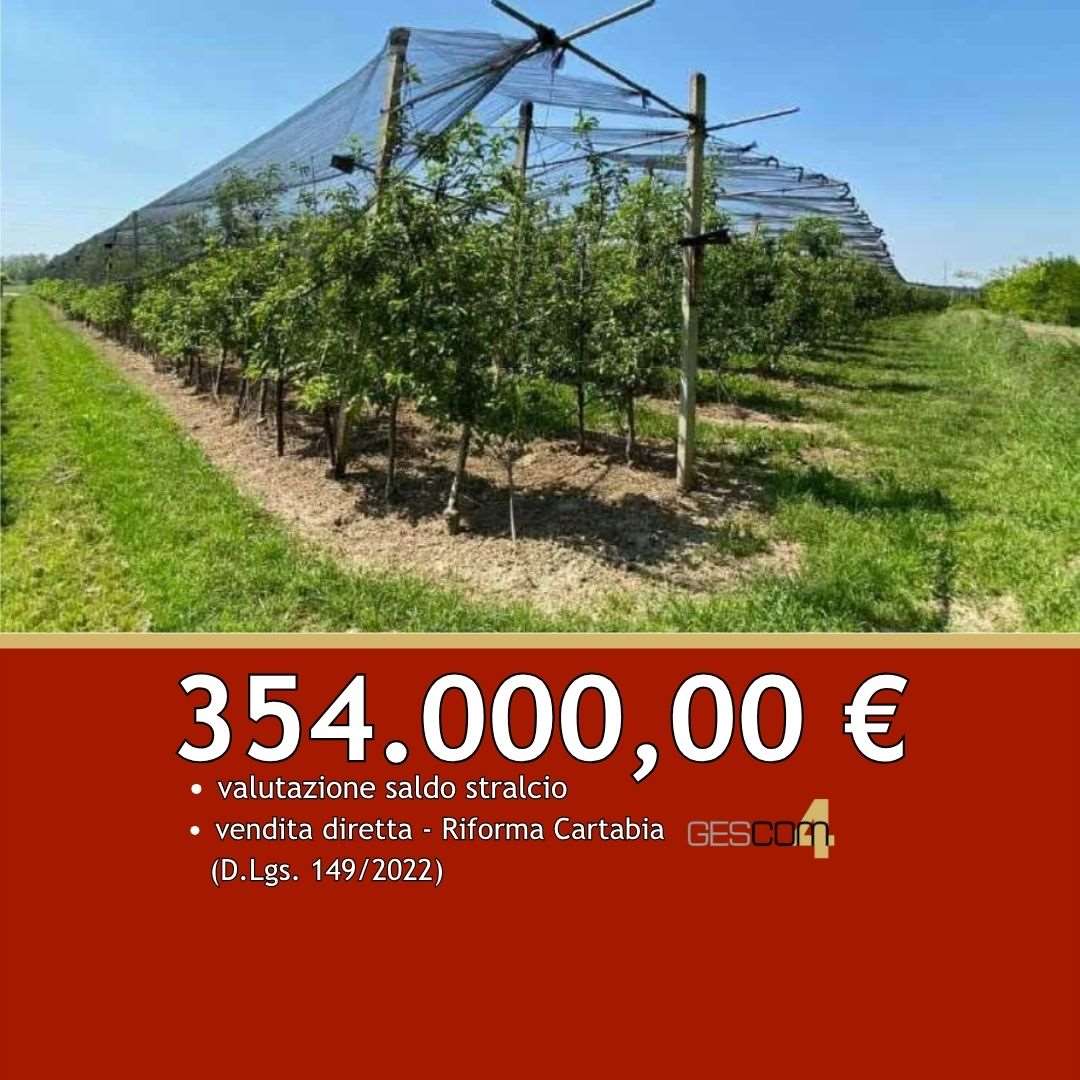 E3618/26 - Terreni a Zevio (VR) 