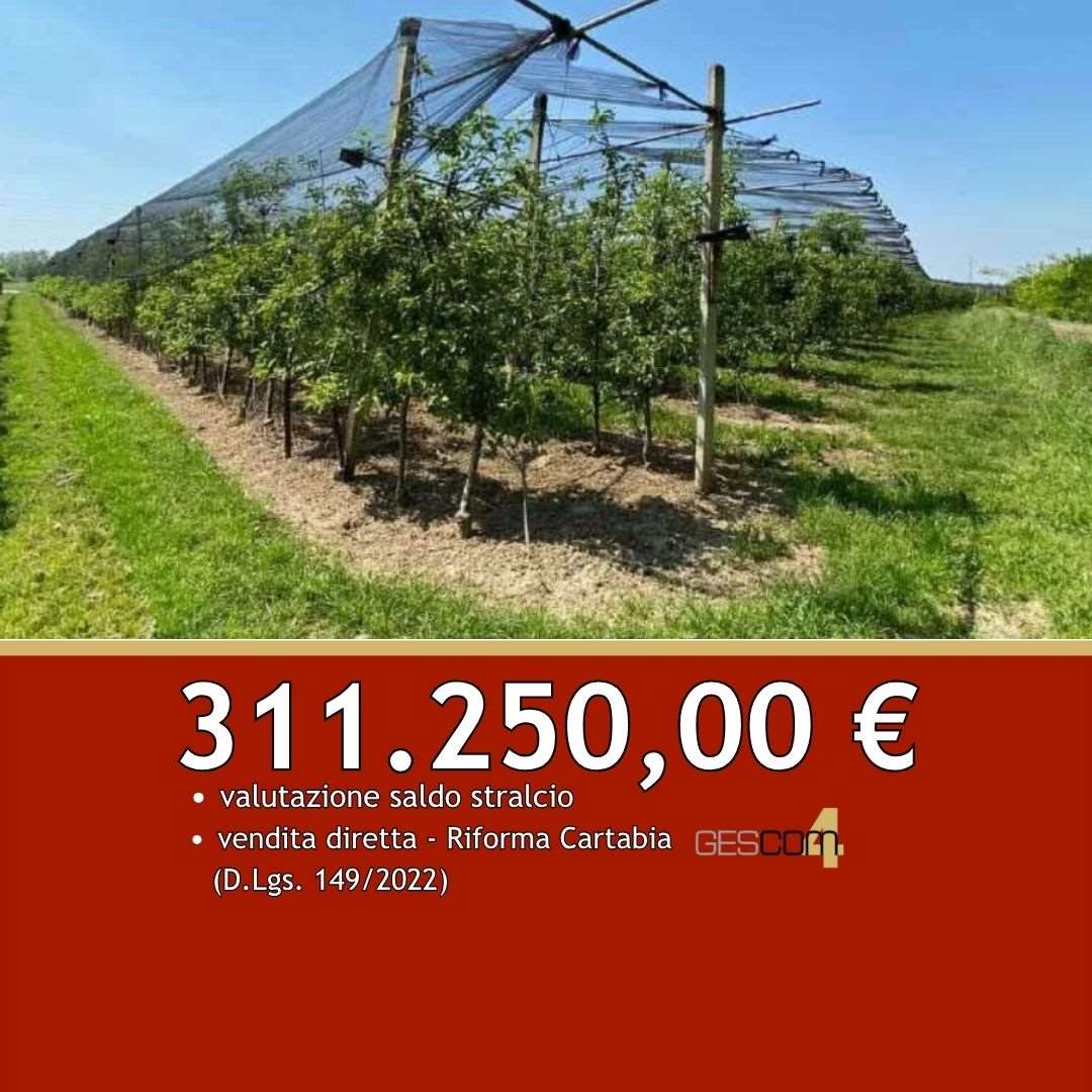 E3619/26 - Terreno a Zevio (VR) 