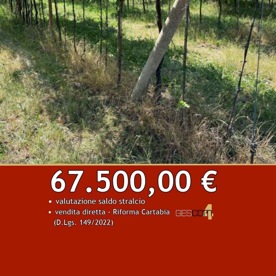 E3627/26 - Terreno a San Giovanni Ilarione (VR) 