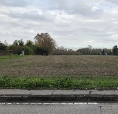 U805/24 - Terreni agricoli a Padova (PD)