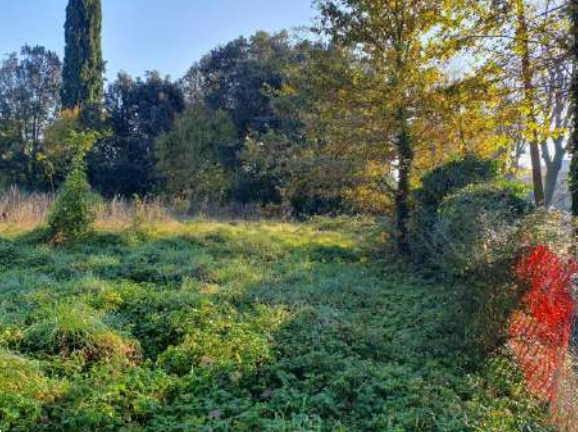 P57/24 - TERRENO EDIFICABILE A TREVISO (TV)