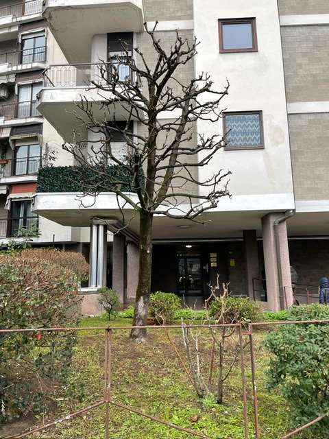 Recently Listed Properties