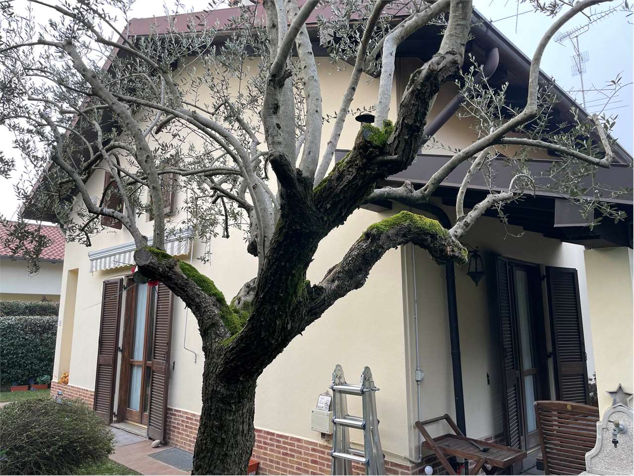 Recently Listed Properties