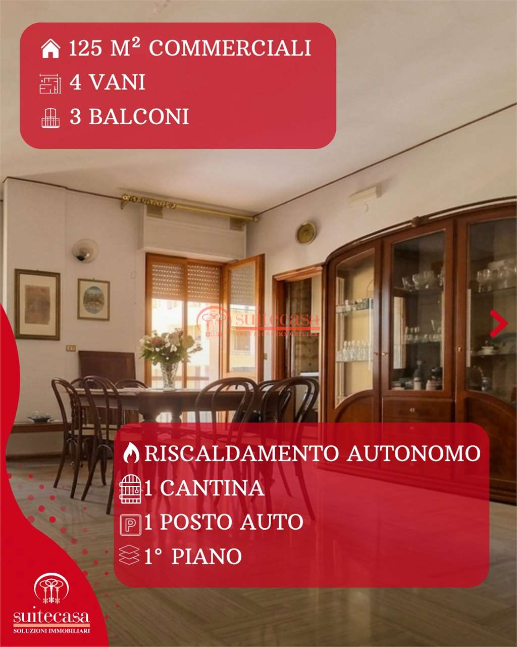 immagine annuncio 1 di 15