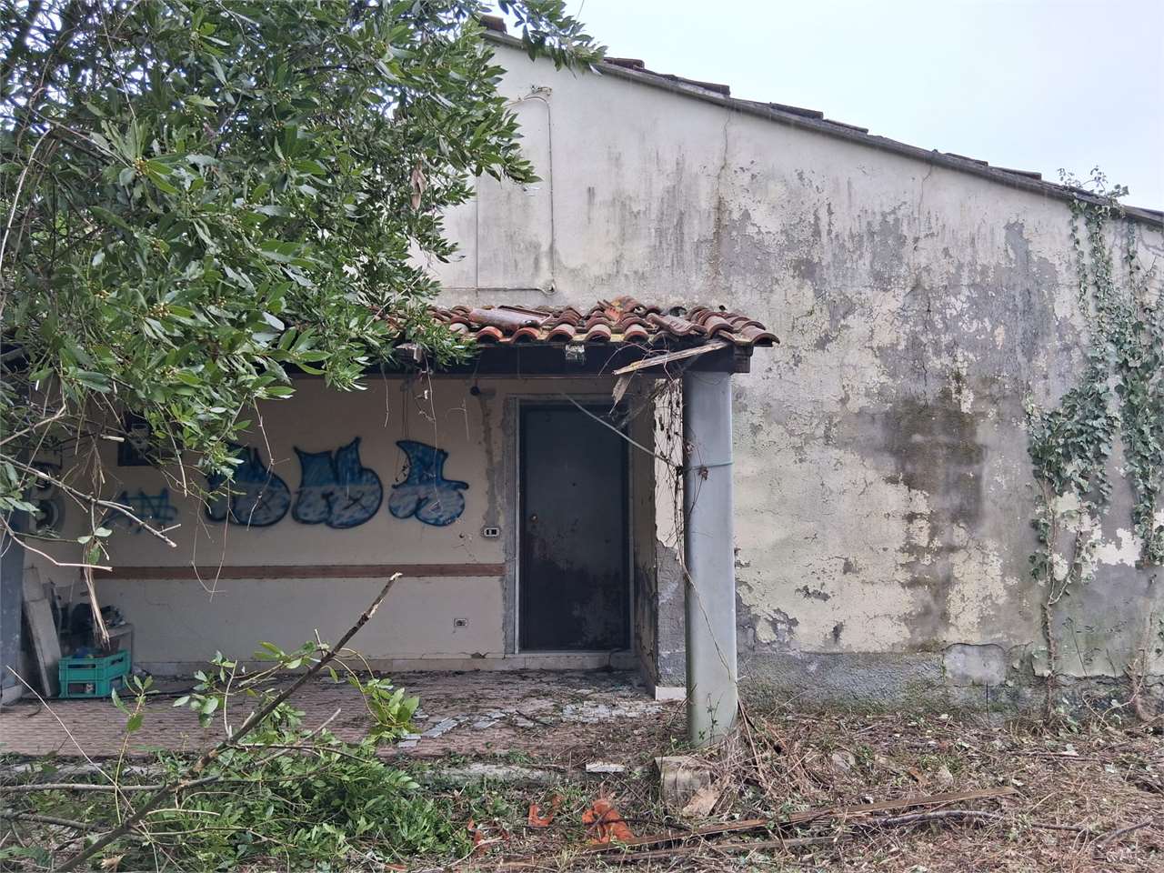 Ortonovo Vendita Terreno Agricolo