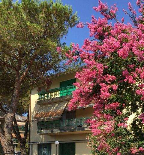 Massa Affitto 4 o più locali