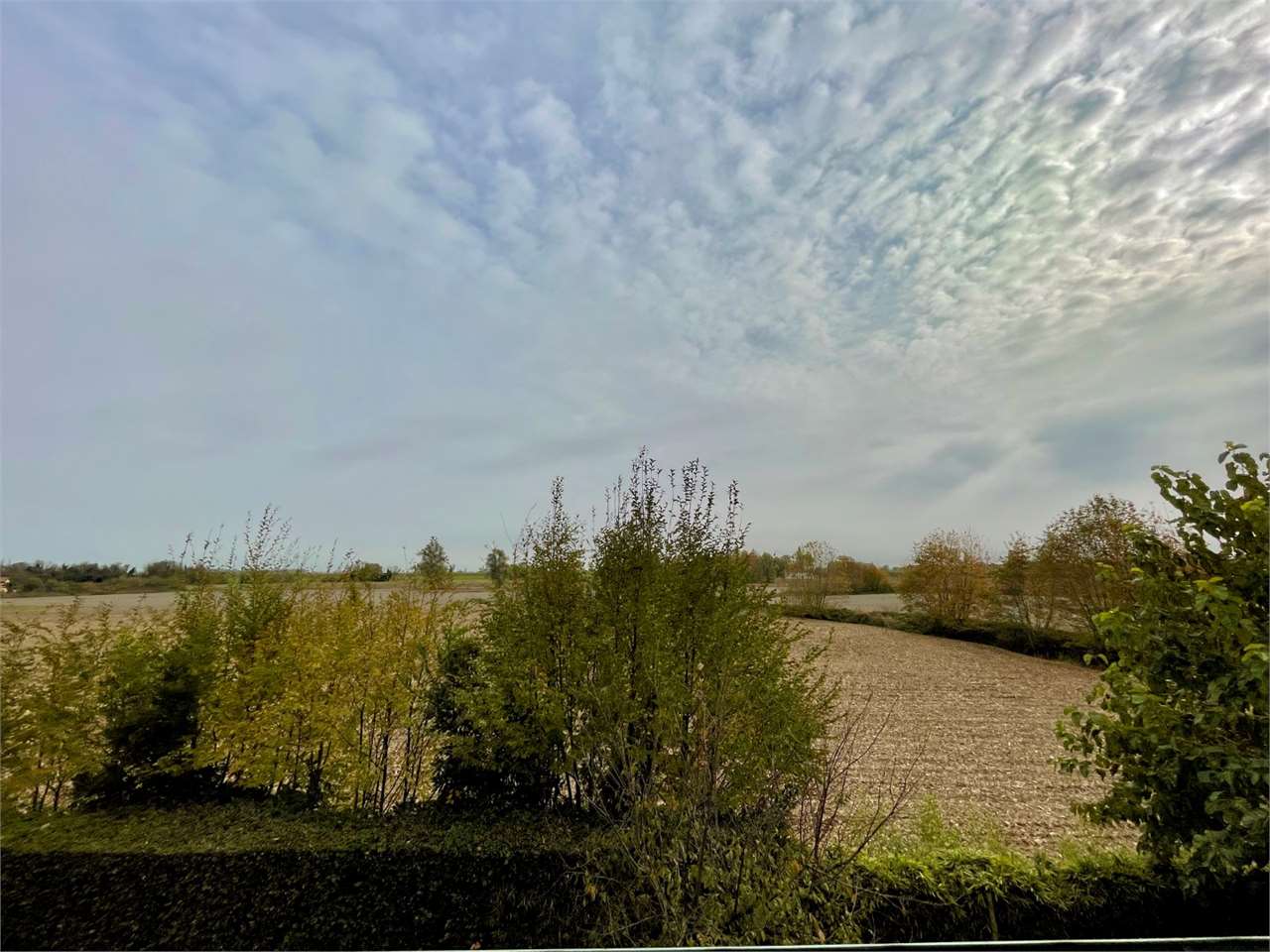 Villa in vendita a Codevigo (PD)