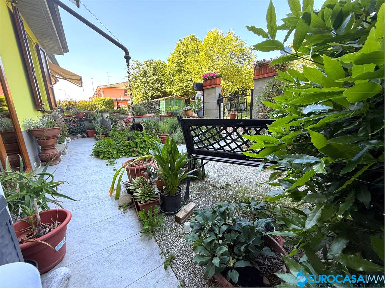 immagine annuncio 3 di 15