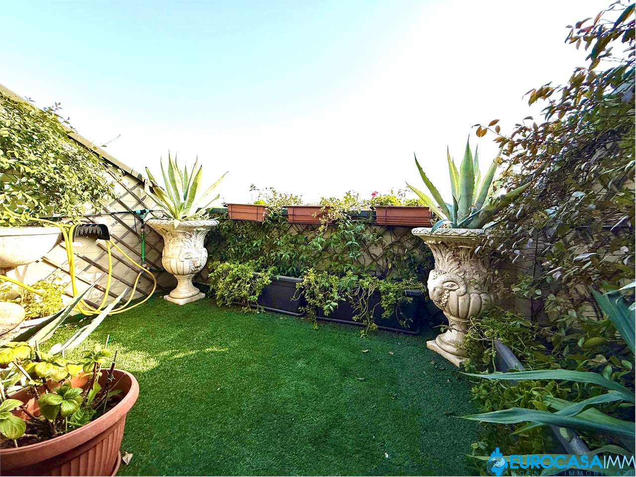 immagine annuncio 11 di 15