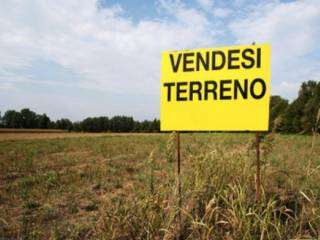 Vendita Terreno Agricolo in V a Reggiolo