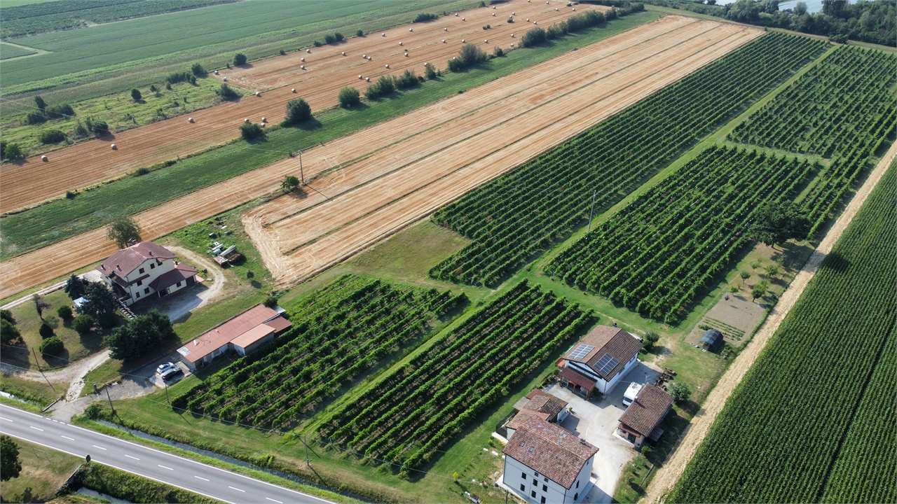 Vendita Terreno Agricolo in V a Novi di Modena