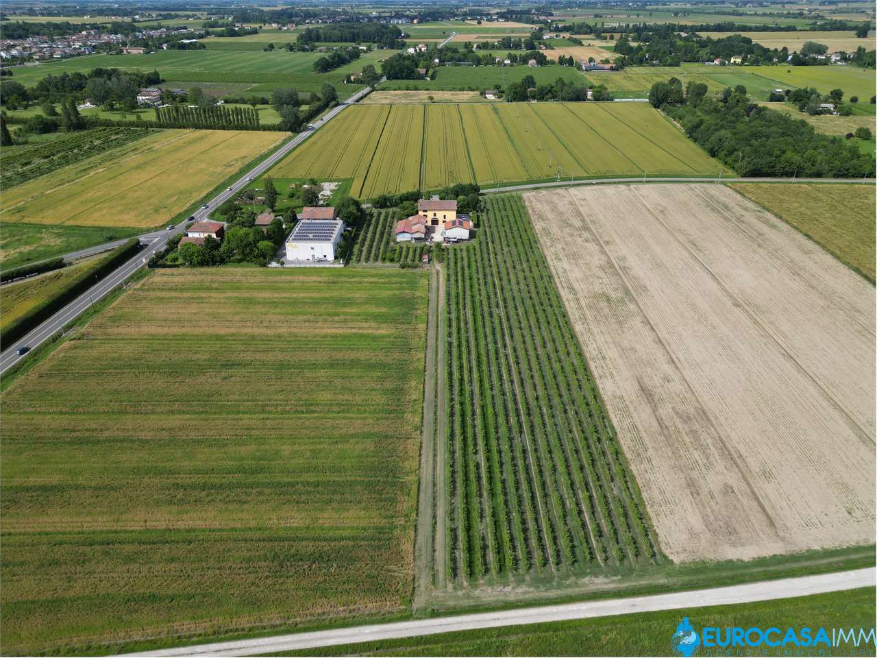 immagine annuncio 2 di 4