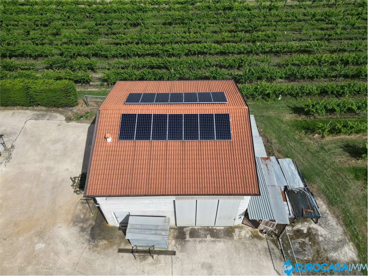 immagine annuncio 10 di 15