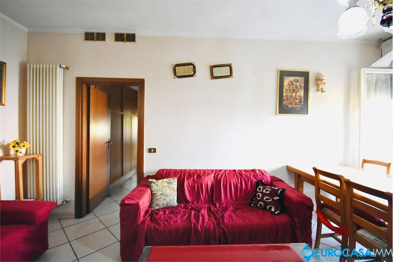 immagine annuncio 3 di 14