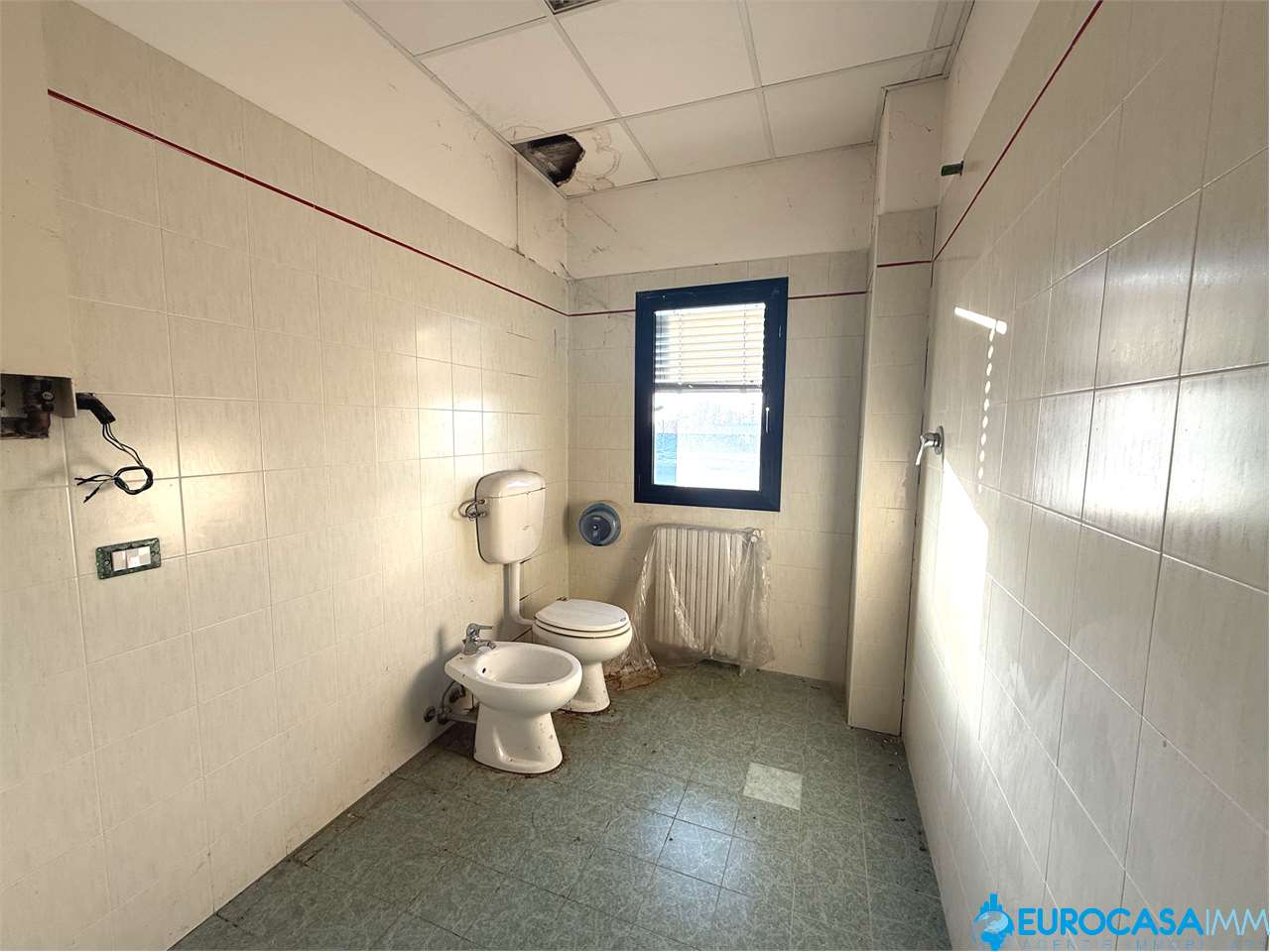 immagine annuncio 6 di 12