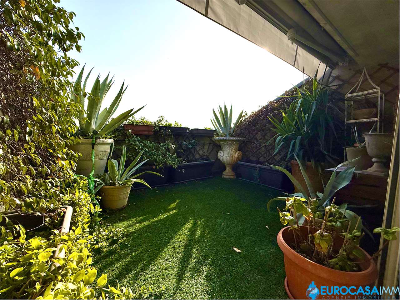 immagine annuncio 5 di 15