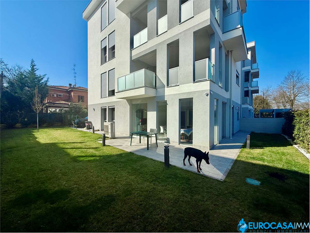 immagine annuncio 11 di 15