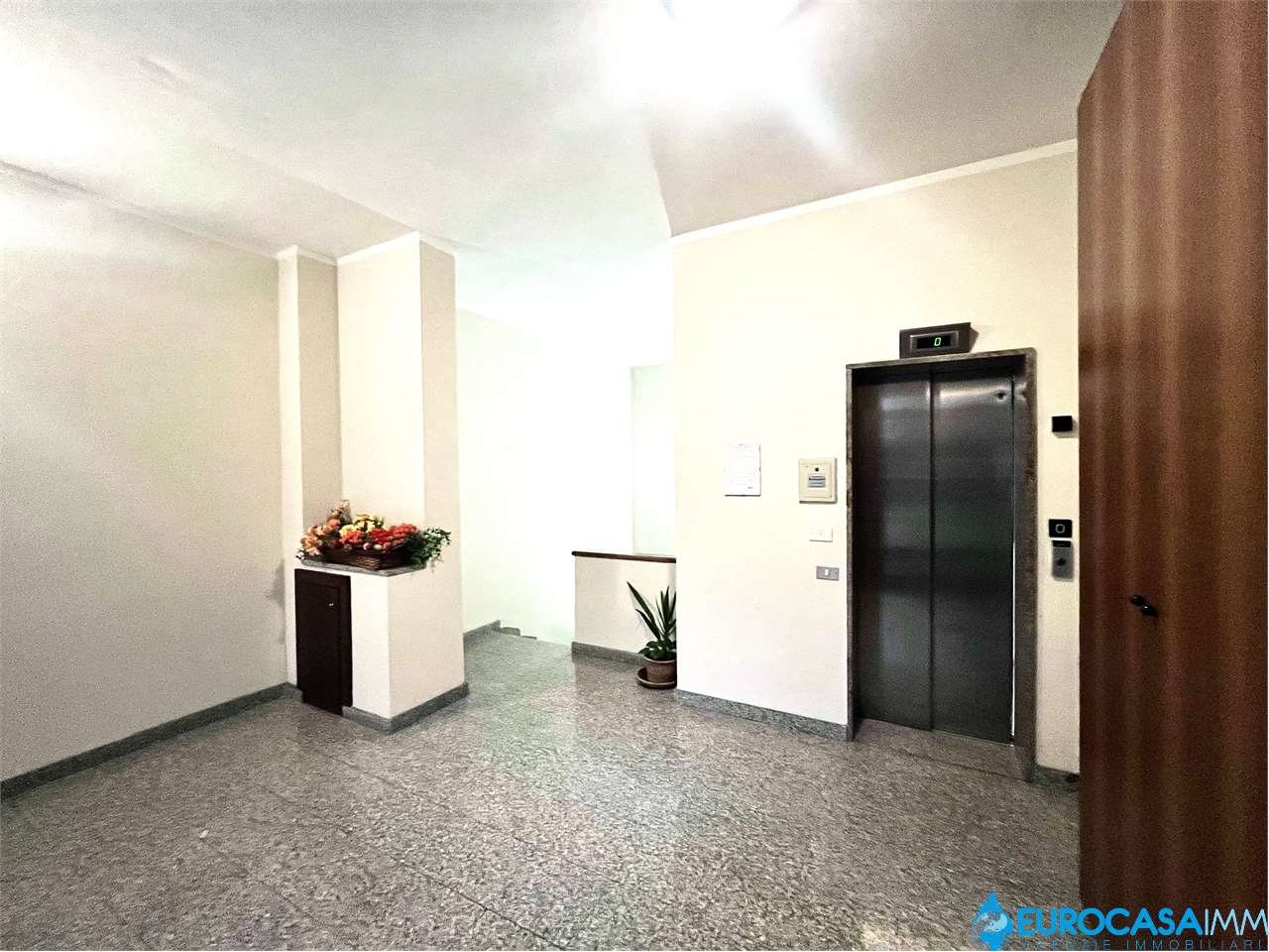 immagine annuncio 11 di 14