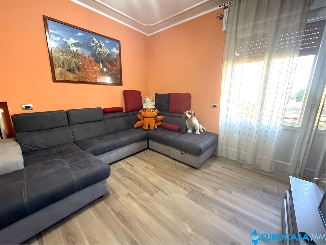 immagine annuncio 7 di 15