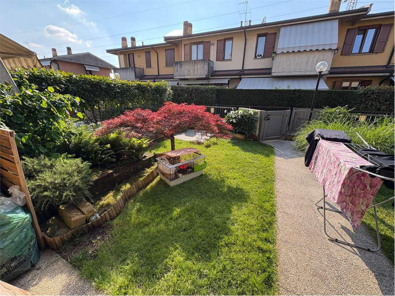 immagine annuncio 4 di 15