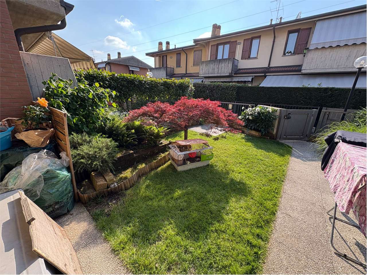 immagine annuncio 6 di 15