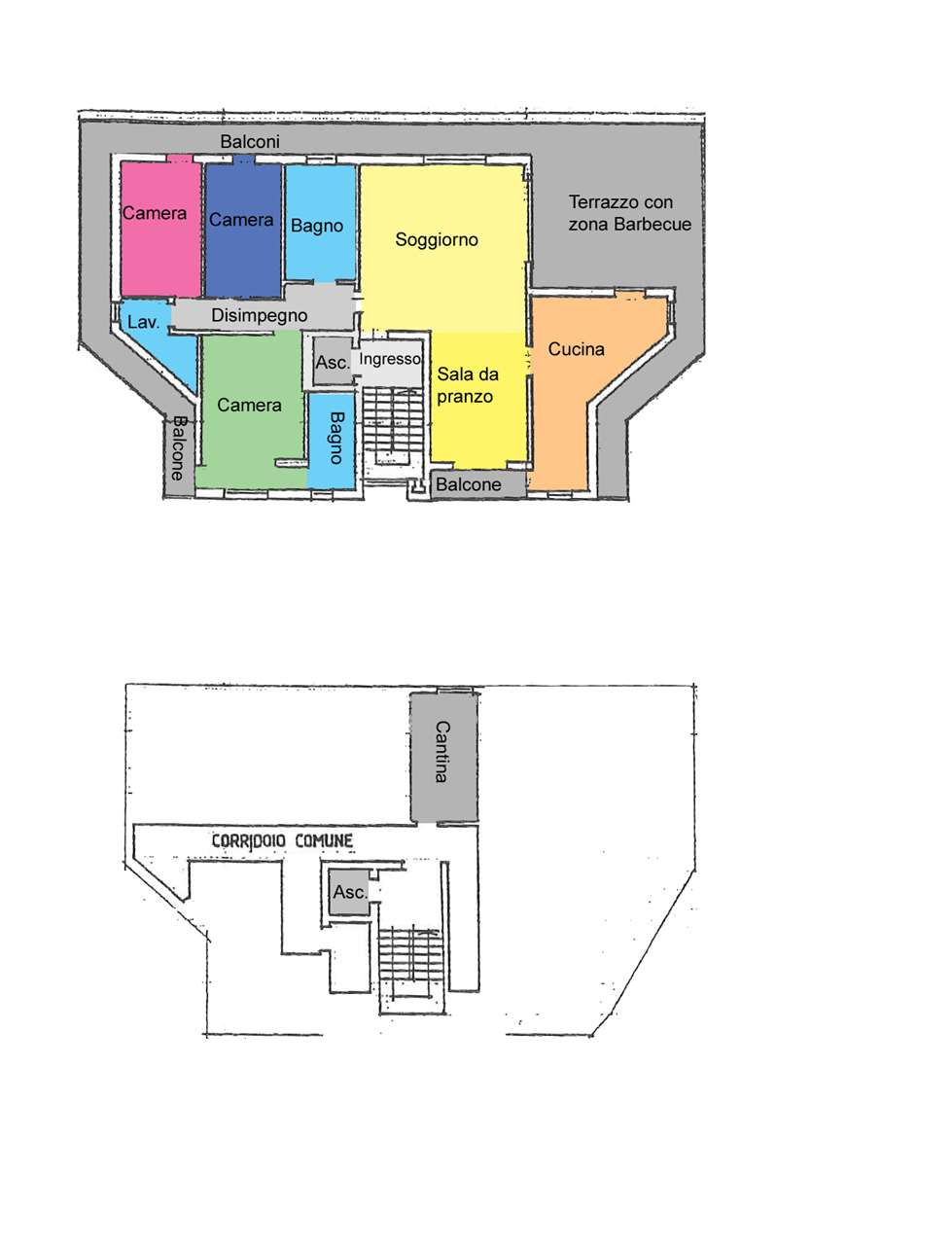 immagine annuncio 1 di 15