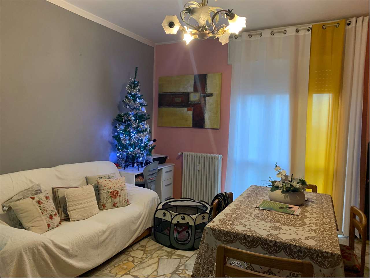 immagine annuncio 3 di 15